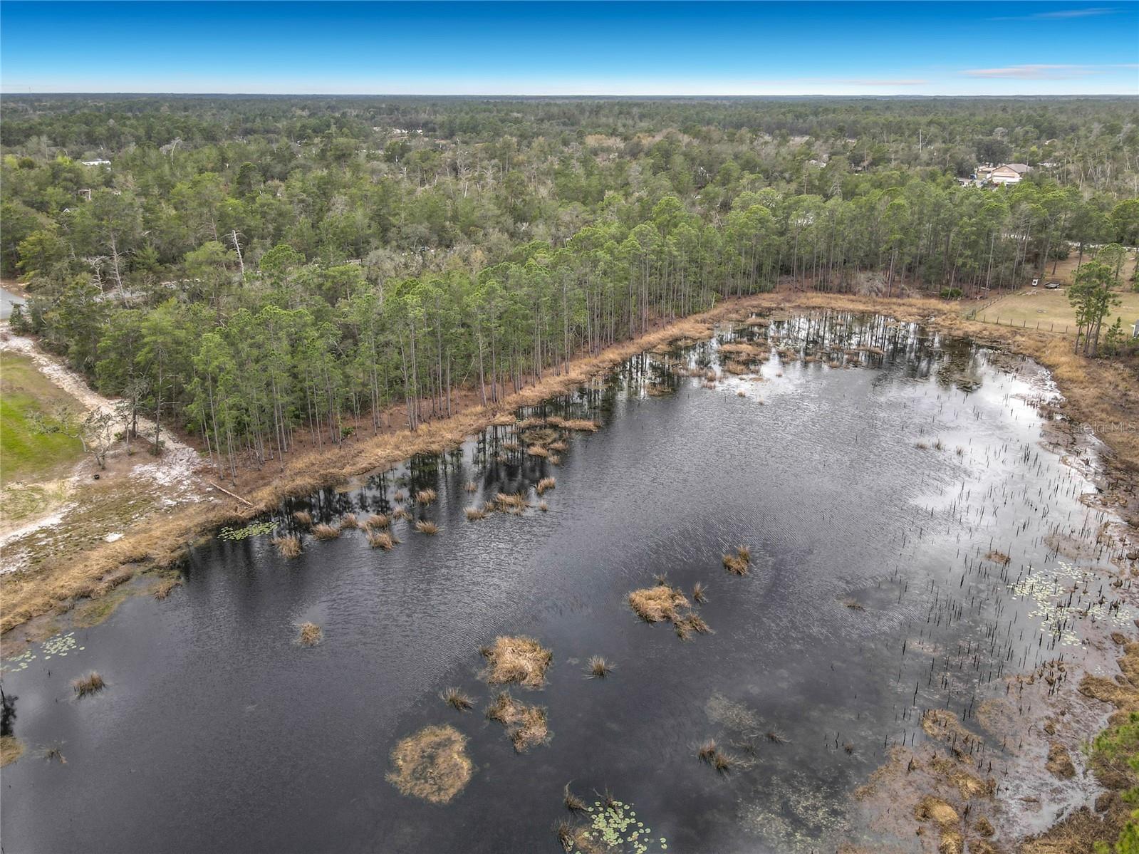 Nutmeg Avenue Eustis FL 32736 O6387413 image13