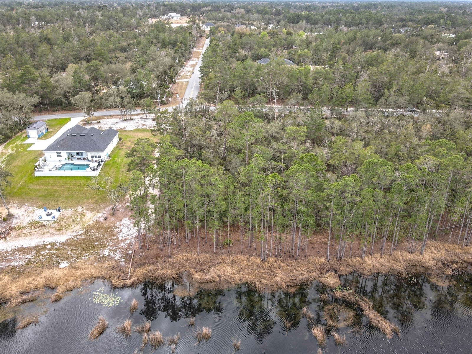 Nutmeg Avenue Eustis FL 32736 O6387413 image8