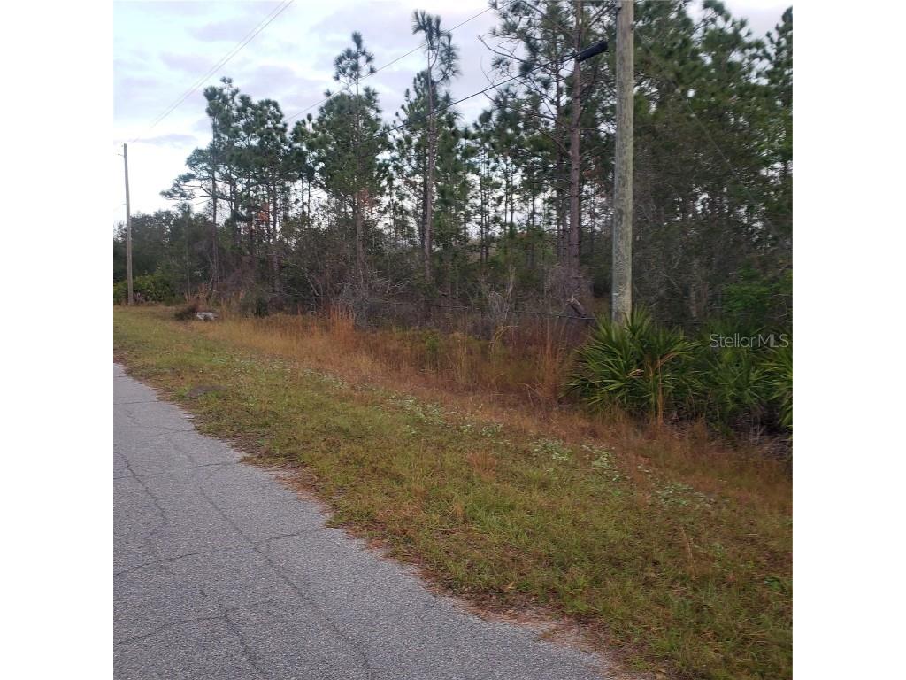 Nutmeg Street Orlando FL 32833 O6189619 image1