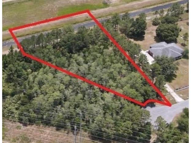 Nutmeg Street Orlando FL 32833 O6342257 image2