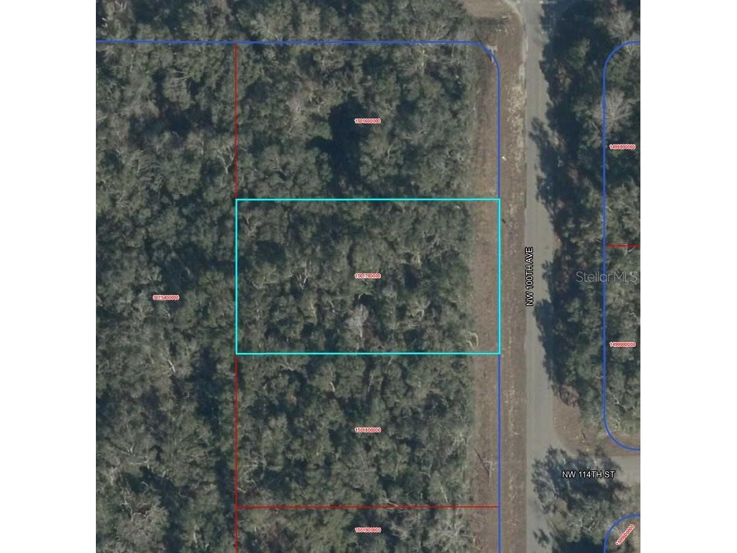 NW 100 Avenue Chiefland FL 32626 OM724163 image1