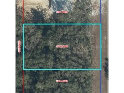 NW 100 Chiefland FL 32626 OM722657 image1