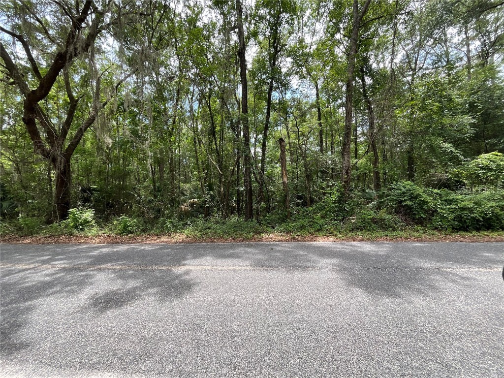 NW 106th Court Rd Micanopy FL 32667 OM659538 image1