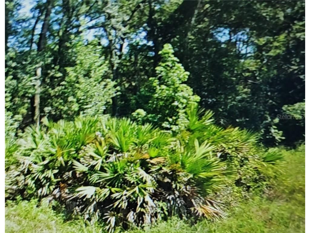 Nw 10th Place Ocala FL 34482 N6137474 image1