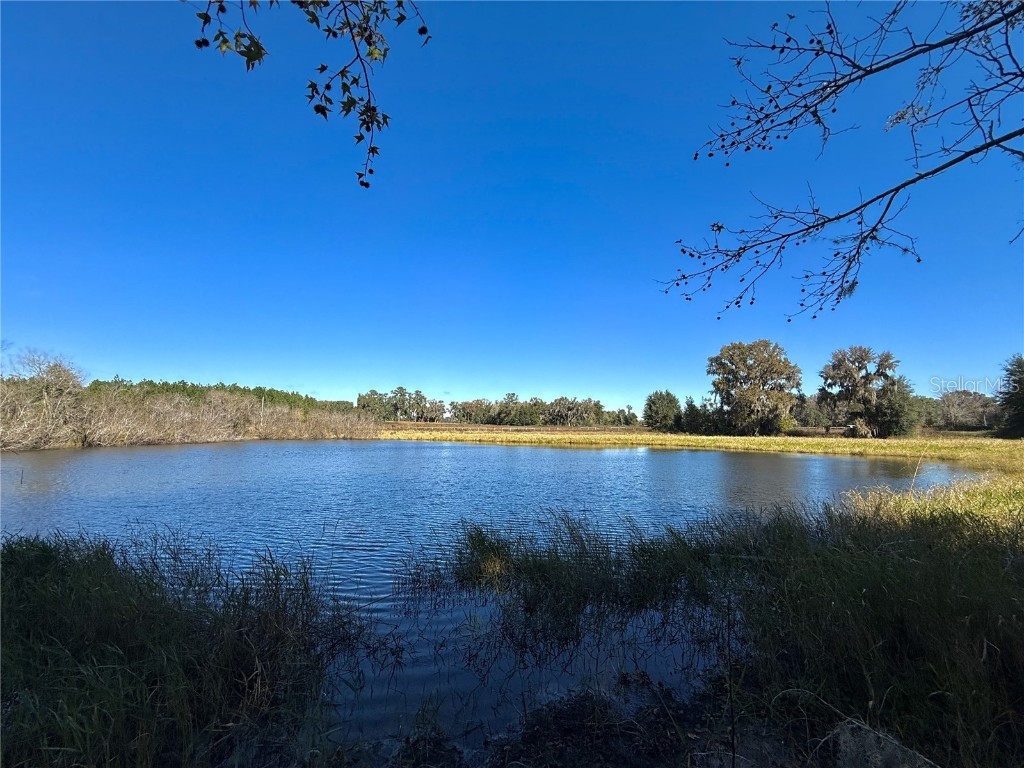 NW 110th Avenue Reddick FL 32686 OM715018 image4