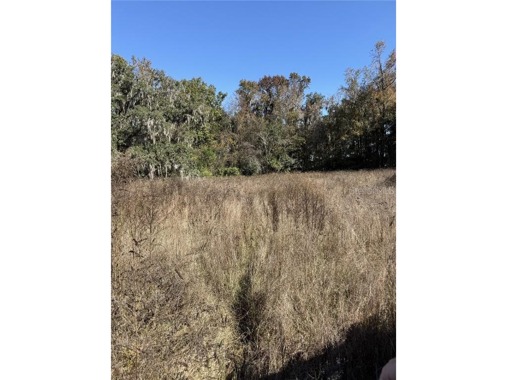 NW 110th Avenue Reddick FL 32686 OM715018 image6