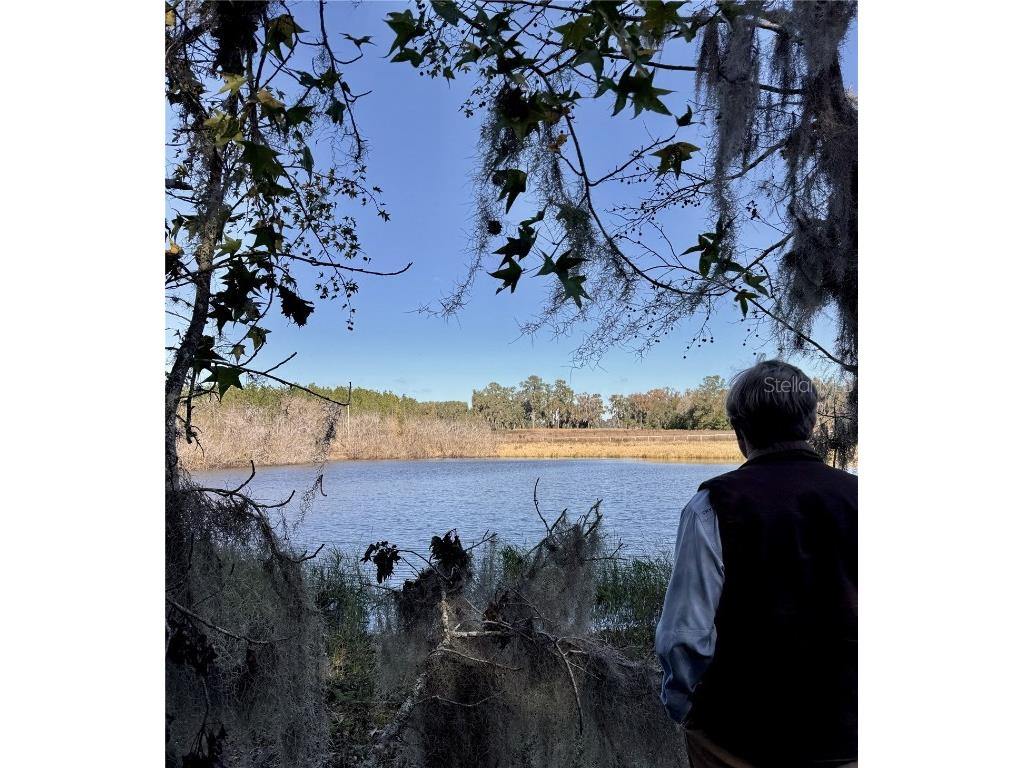 NW 110th Avenue Reddick FL 32686 OM715018 image7