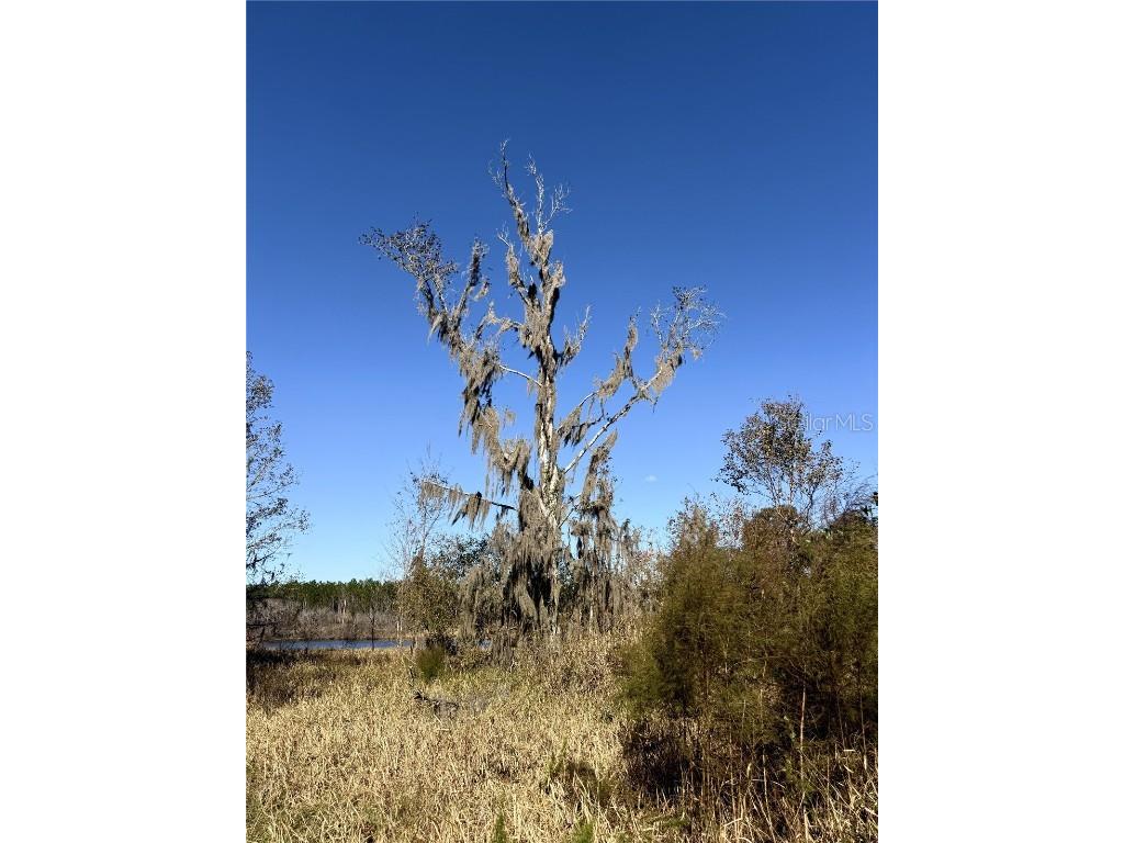 NW 110th Avenue Reddick FL 32686 OM715018 image8