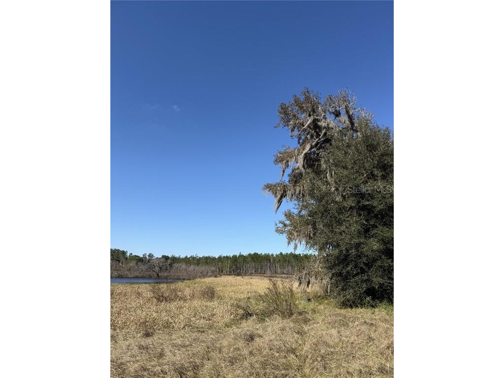 NW 110th Avenue Reddick FL 32686 OM715018 image9