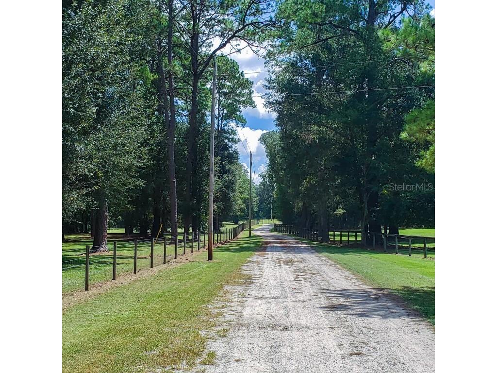 NW 115th Avenue Reddick FL 32686 OM715432 image2