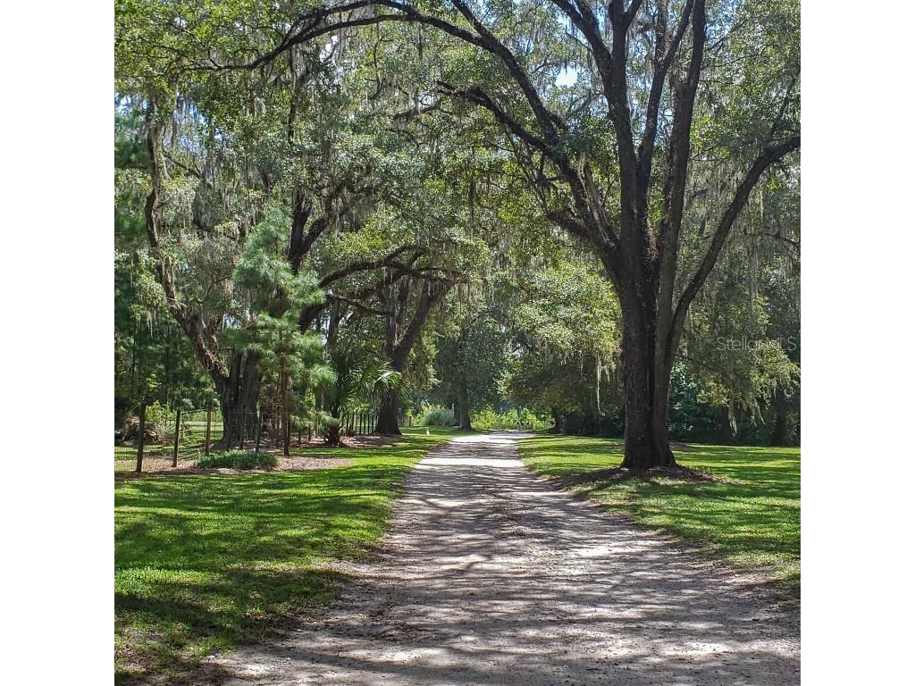 NW 115th Avenue Reddick FL 32686 OM715432 image3