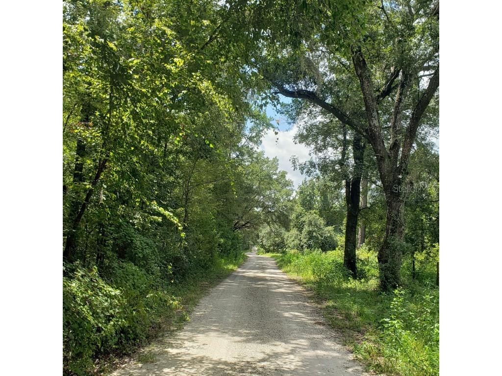 NW 115th Avenue Reddick FL 32686 OM715432 image4