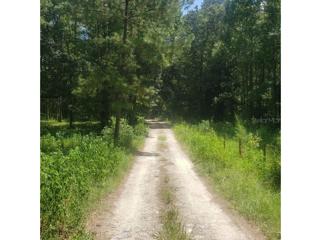 NW 115th Avenue Reddick FL 32686 OM715432 image5