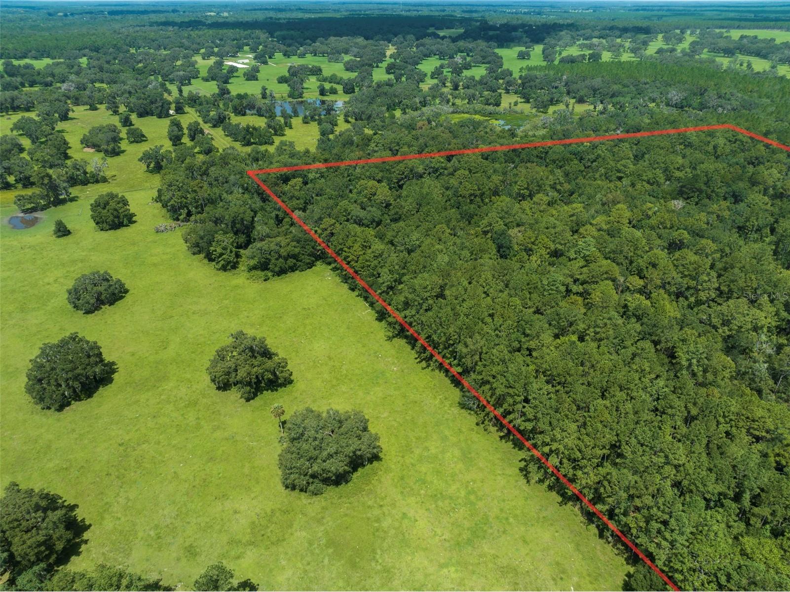 NW 115th Avenue Reddick FL 32686 OM715432 image8