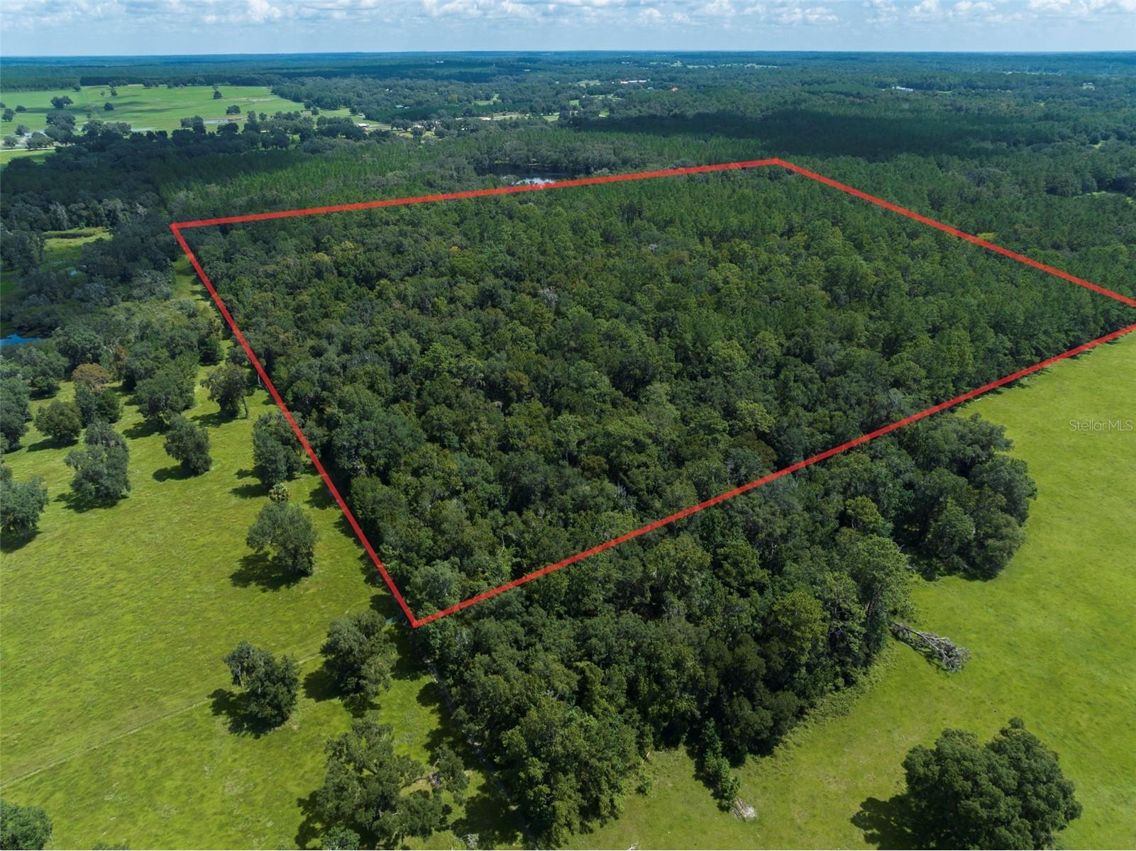 NW 115th Avenue Reddick FL 32686 OM715432 image9