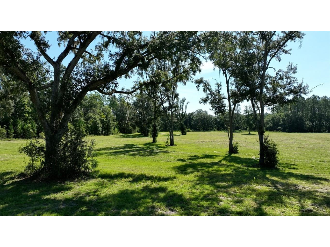 NW 116th Court Reddick FL 32686 OM693655 image10