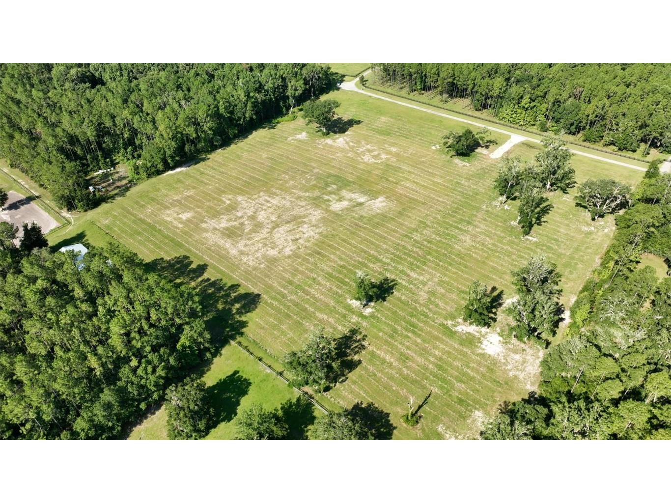 NW 116th Court Reddick FL 32686 OM693655 image14