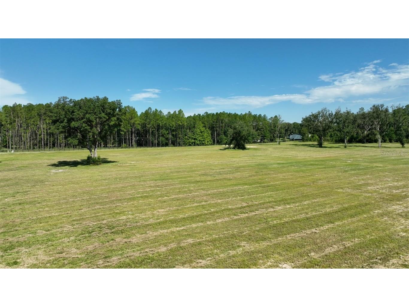 NW 116th Court Reddick FL 32686 OM693655 image7