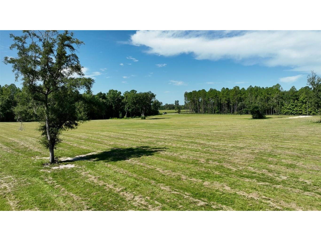 NW 116th Court Reddick FL 32686 OM693655 image9