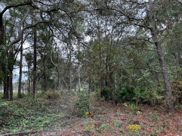 NW 11th Ave/62nd Pl Avenue Bell FL 32619 GC516557 image1