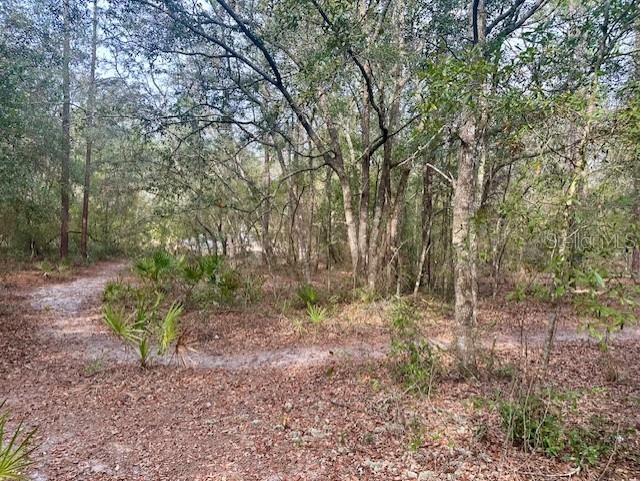 Nw 11th Avenue Bell FL 32619 GC537757 image1