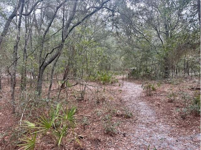 Nw 11th Avenue Bell FL 32619 GC537757 image10