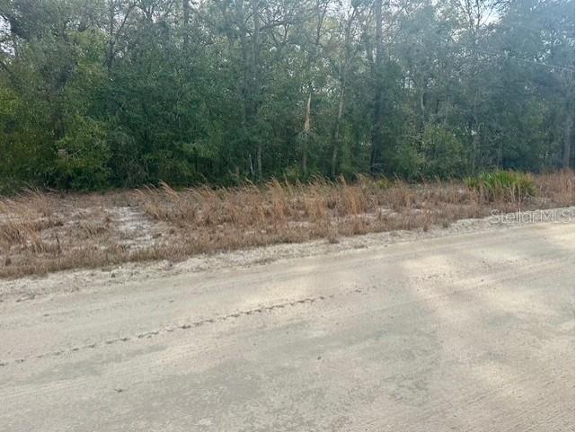 Nw 11th Avenue Bell FL 32619 GC537757 image11