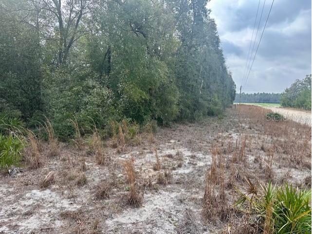 Nw 11th Avenue Bell FL 32619 GC537757 image4