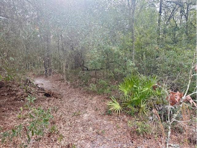 Nw 11th Avenue Bell FL 32619 GC537757 image5