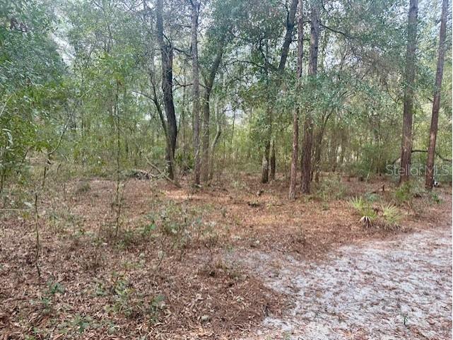 Nw 11th Avenue Bell FL 32619 GC537757 image6