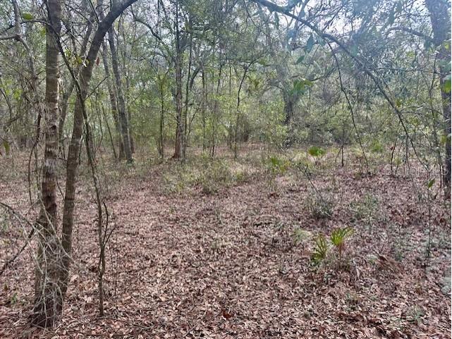 Nw 11th Avenue Bell FL 32619 GC537757 image7