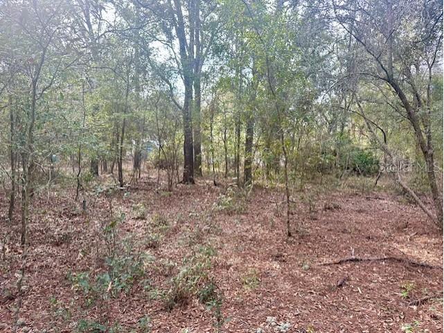 Nw 11th Avenue Bell FL 32619 GC537757 image8