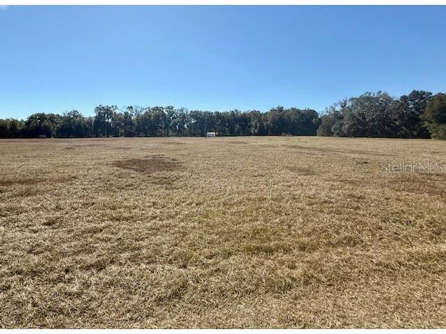 NW 131st Street Reddick FL 32686 J985308 image1