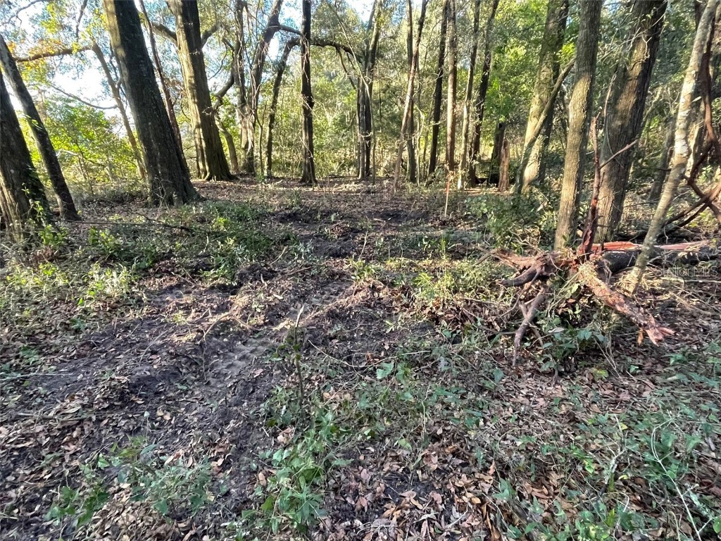 NW 13th Avenue Newberry FL 32669 GC512598 image1