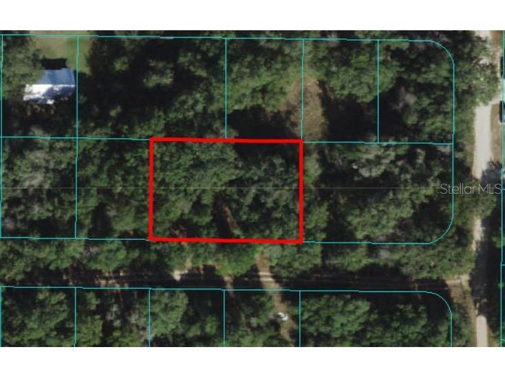 NW 13th Street Ocala FL 34475 OM620377 image1