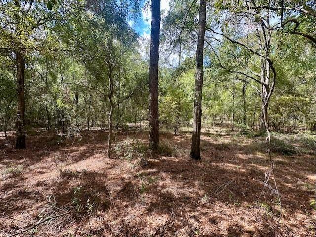 NW 13th Terrace Bell FL 32619 GC534893 image1