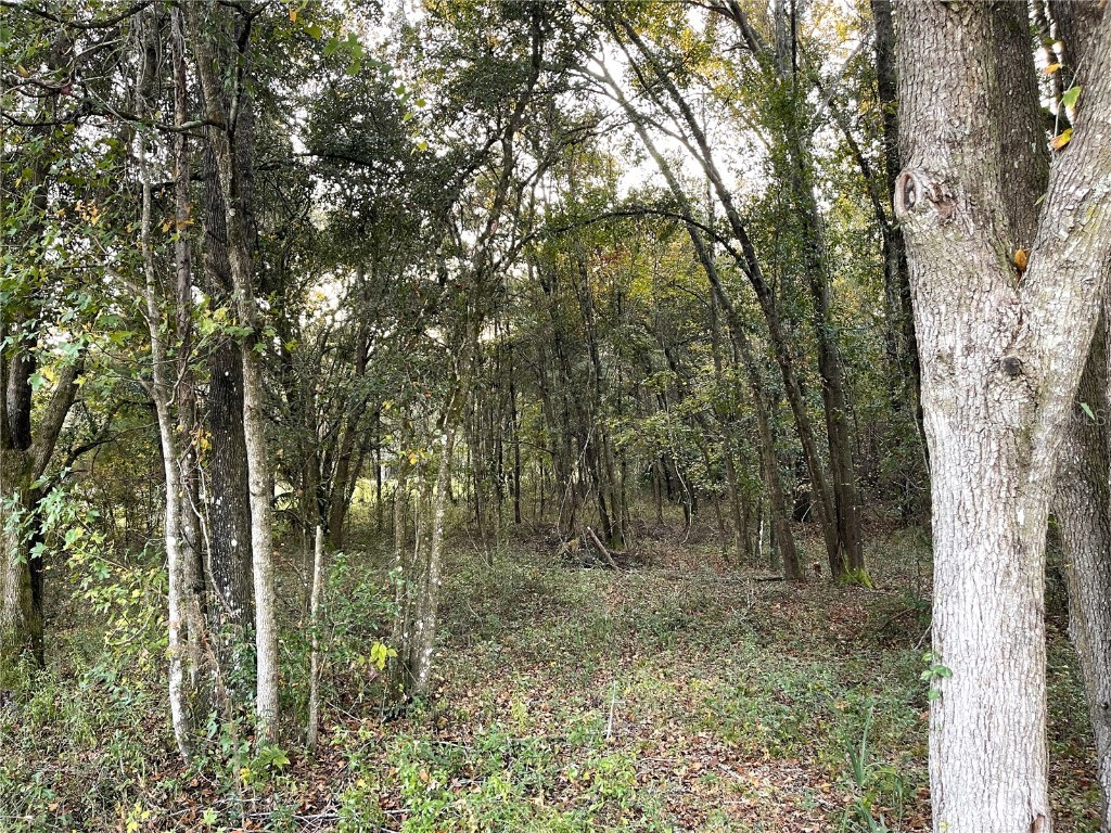 Nw 145th Ave Lot 25 Williston FL 32696 OM714031 image11