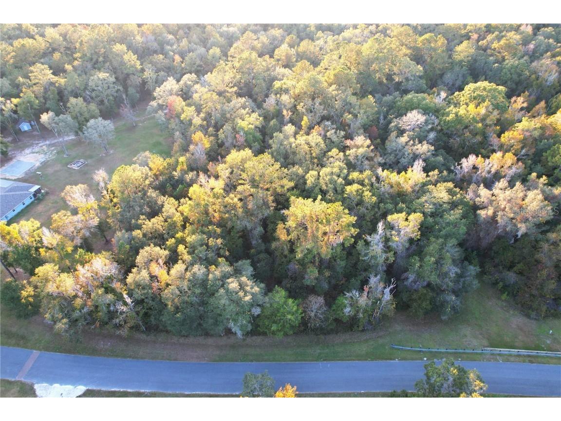 Nw 145th Ave Lot 25 Williston FL 32696 OM714031 image13