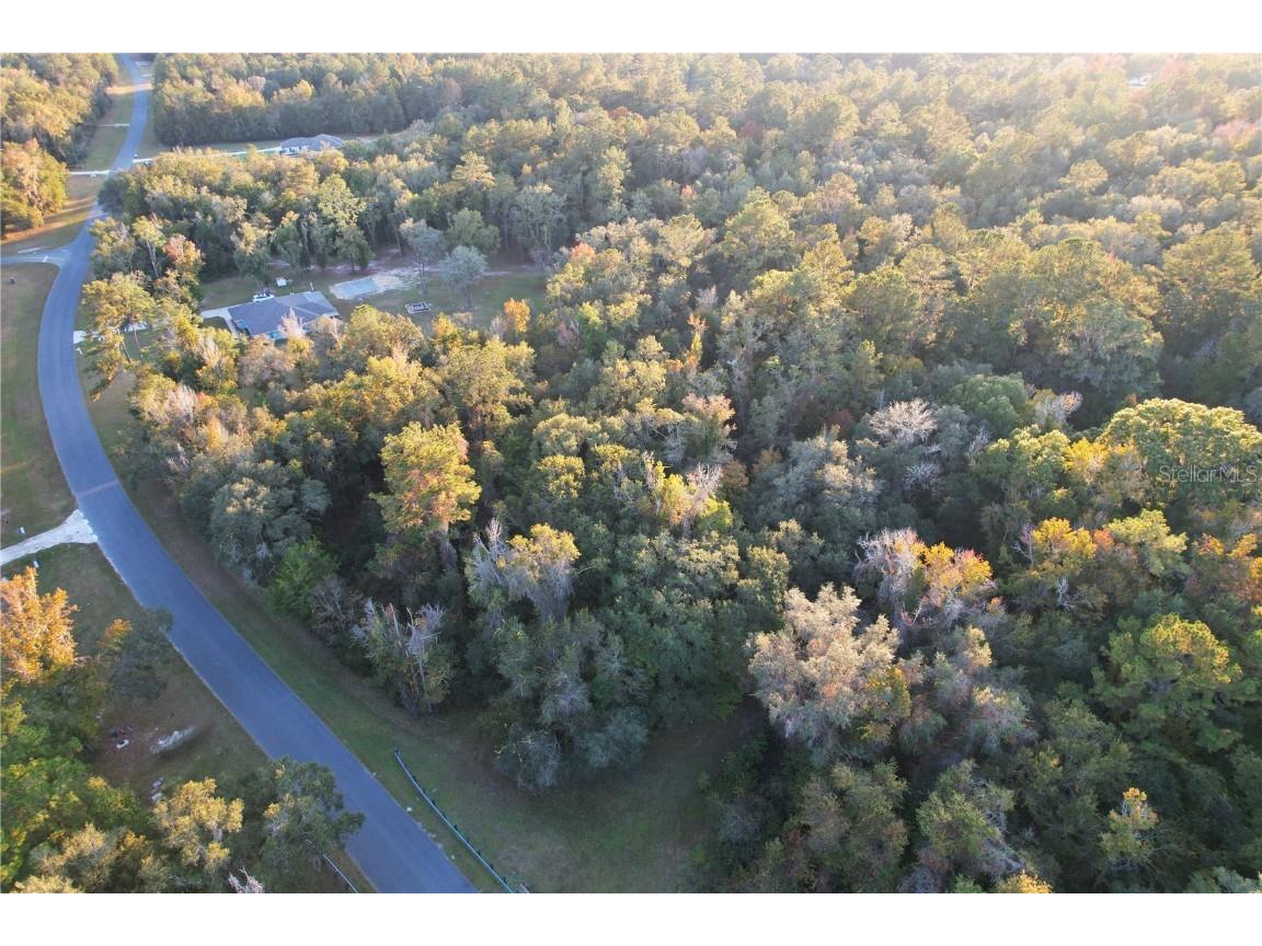 Nw 145th Ave Lot 25 Williston FL 32696 OM714031 image14