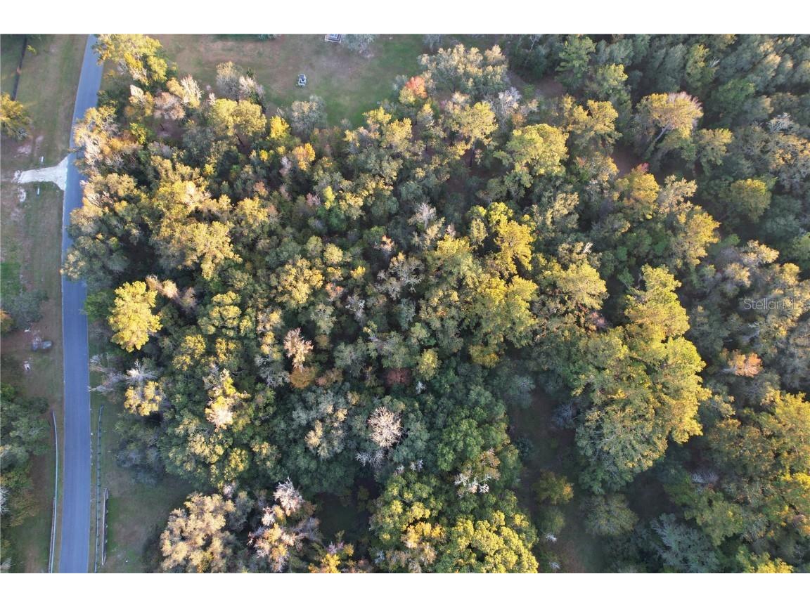 Nw 145th Ave Lot 25 Williston FL 32696 OM714031 image15