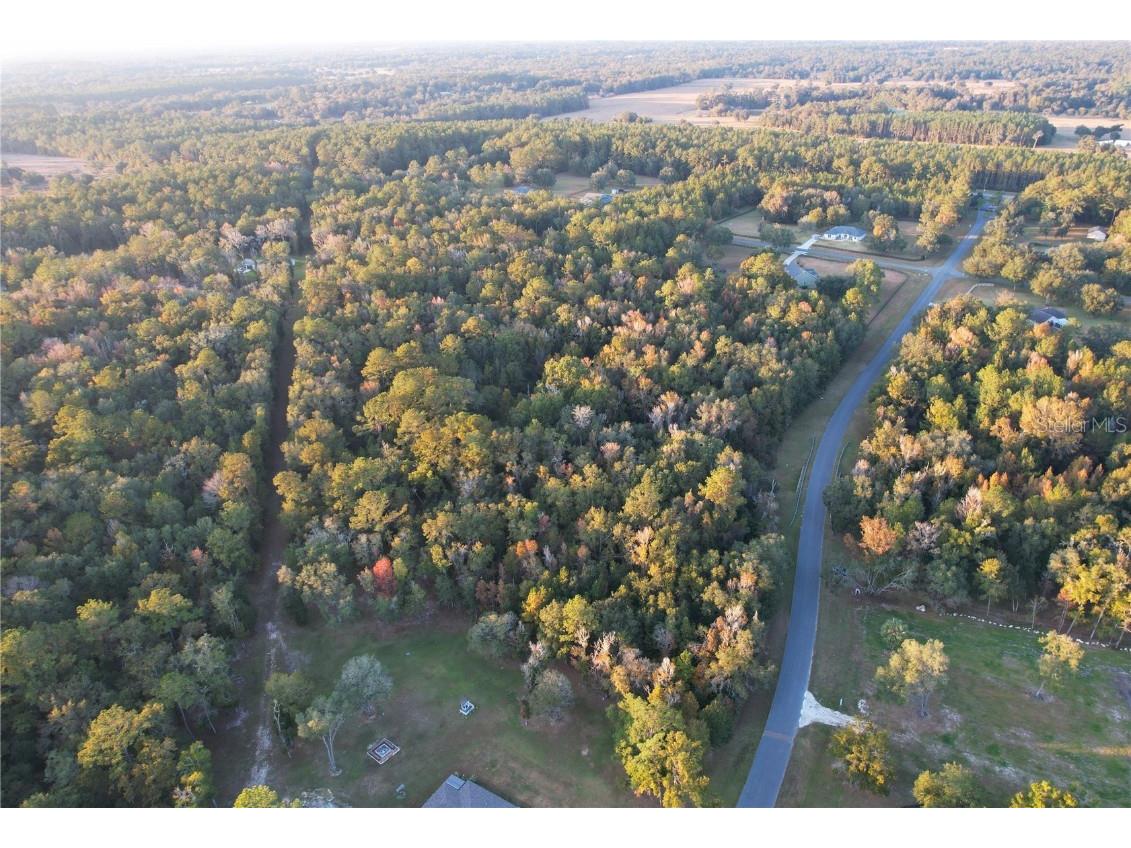 Nw 145th Ave Lot 25 Williston FL 32696 OM714031 image16