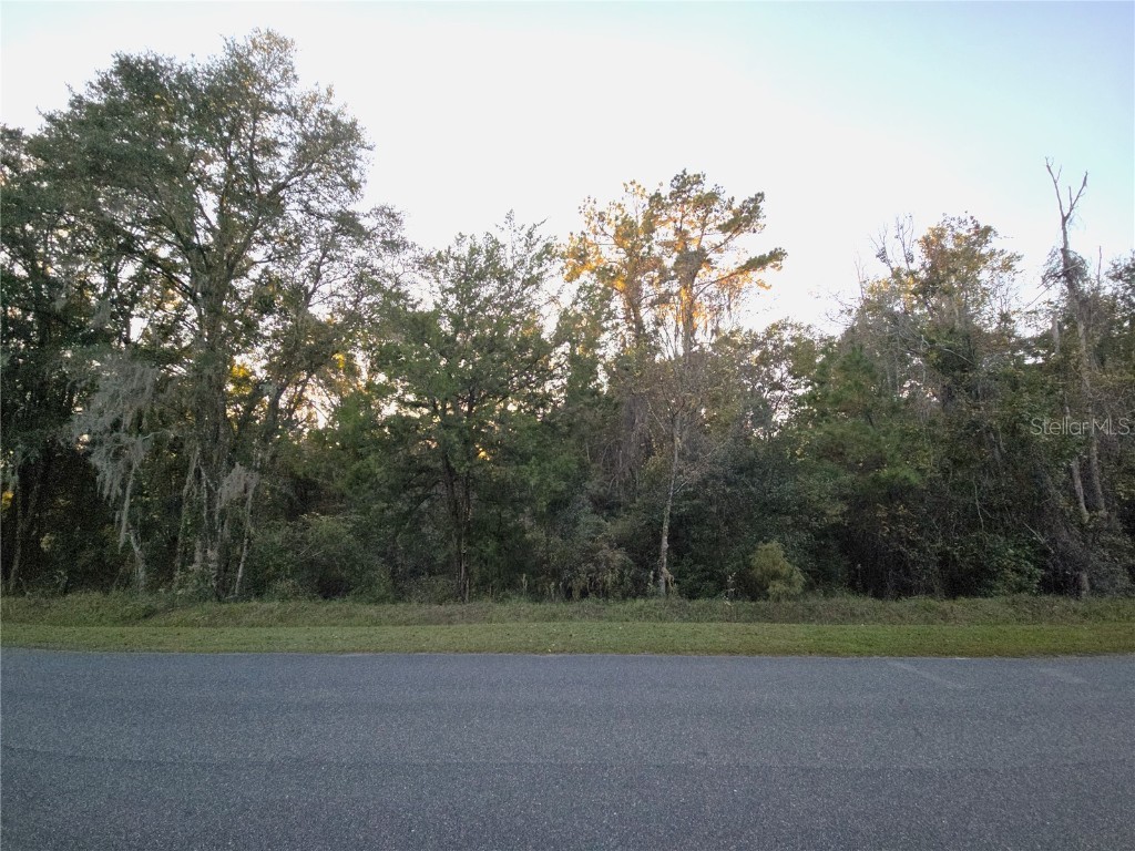 Nw 145th Ave Lot 25 Williston FL 32696 OM714031 image18