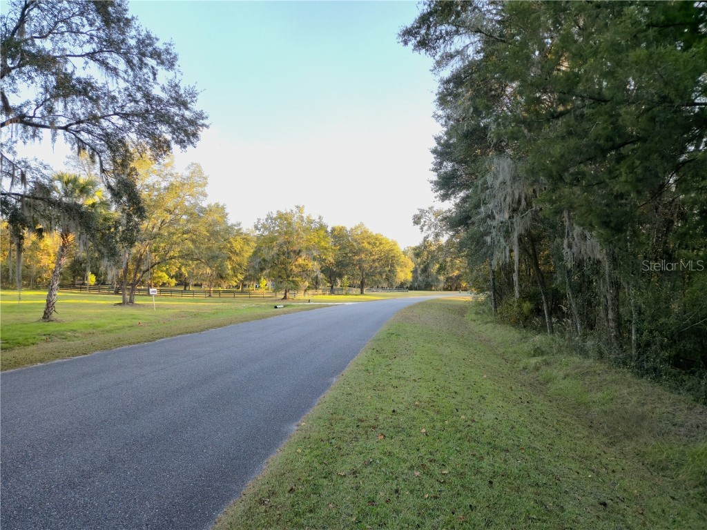 Nw 145th Ave Lot 25 Williston FL 32696 OM714031 image6