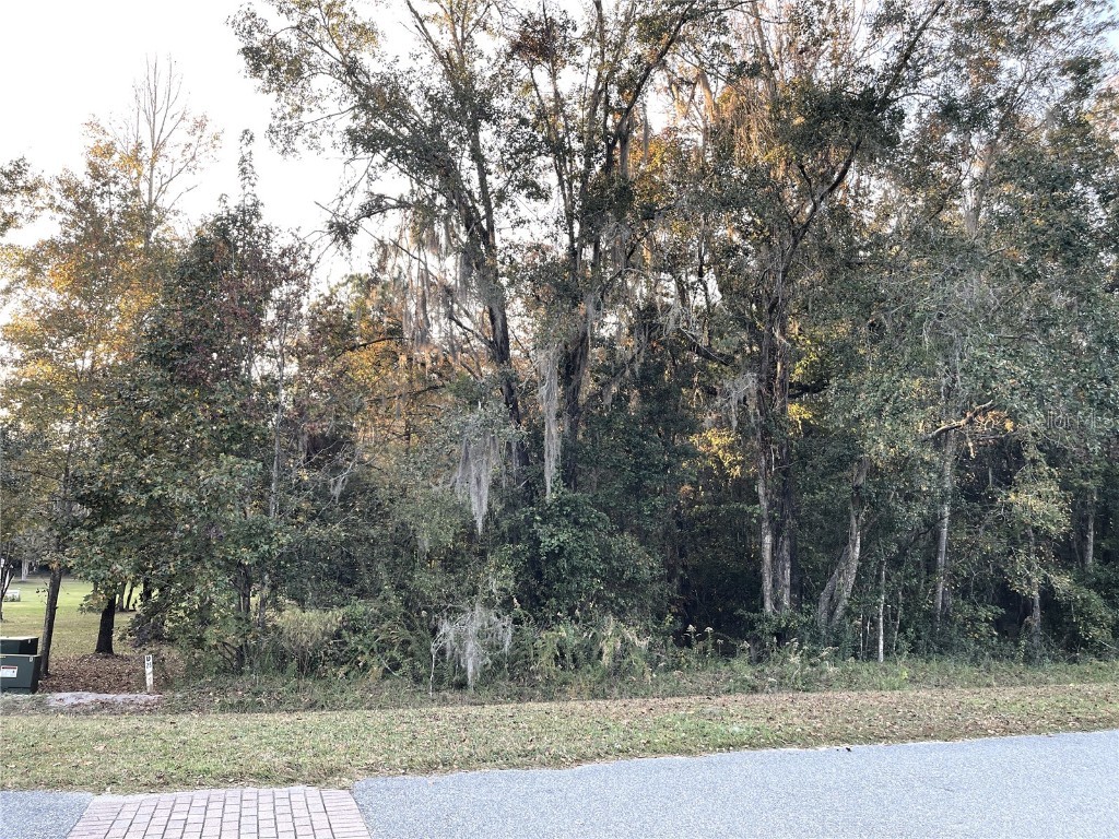 Nw 145th Ave Lot 25 Williston FL 32696 OM714031 image8