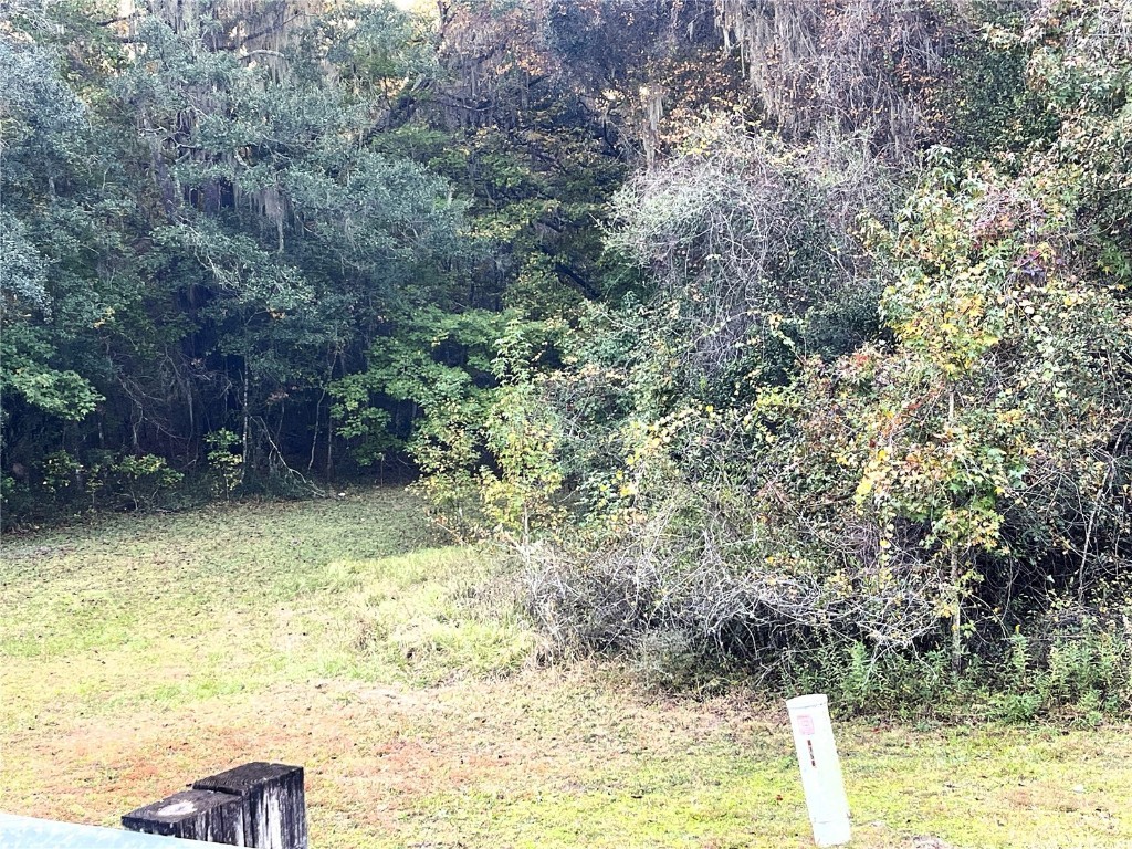 Nw 145th Ave Lot 25 Williston FL 32696 OM714031 image9