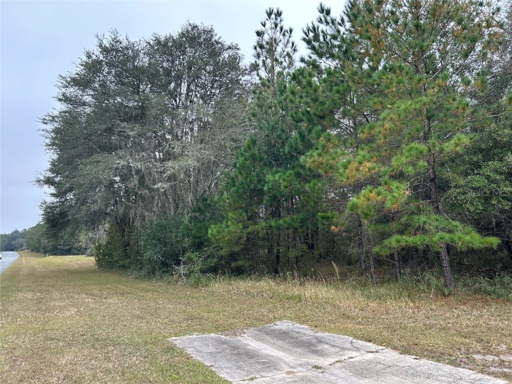 NW 145th Avenue Williston FL 32696 OM667853 image1