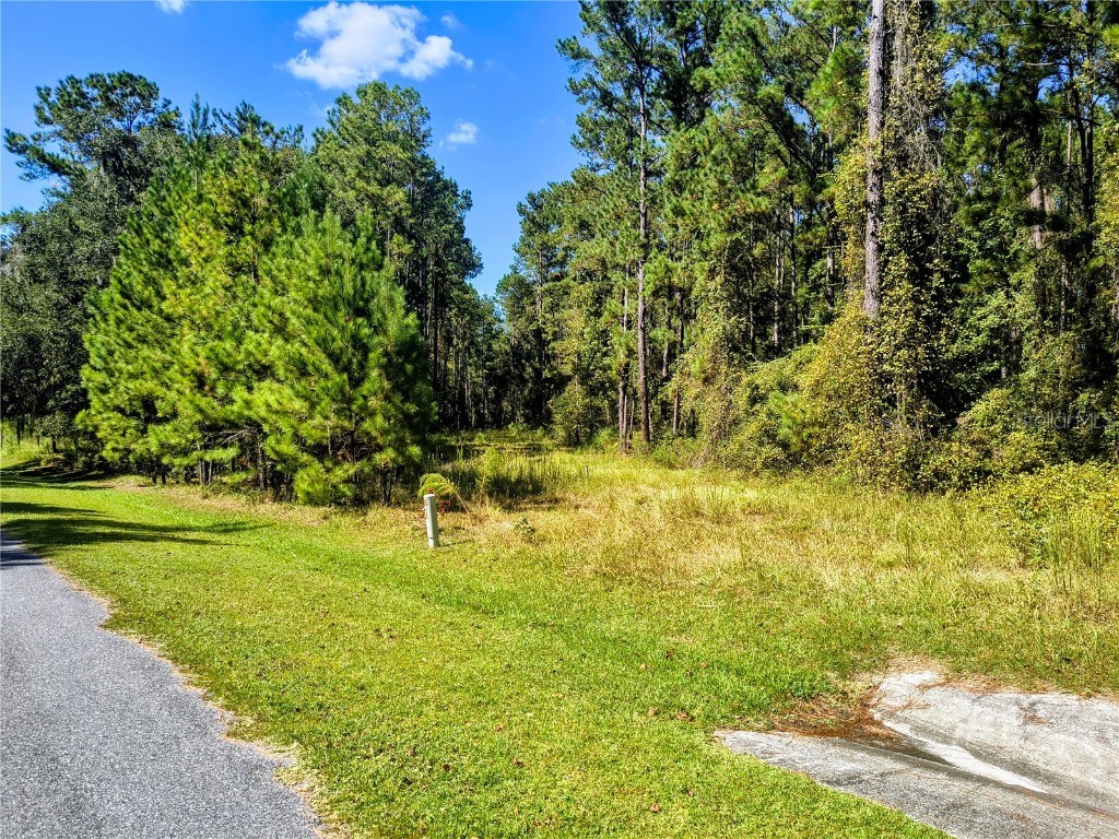 NW 148th Lane Williston FL 32696 OM711194 image1