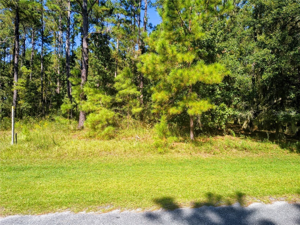 NW 148th Lane Williston FL 32696 OM711194 image2