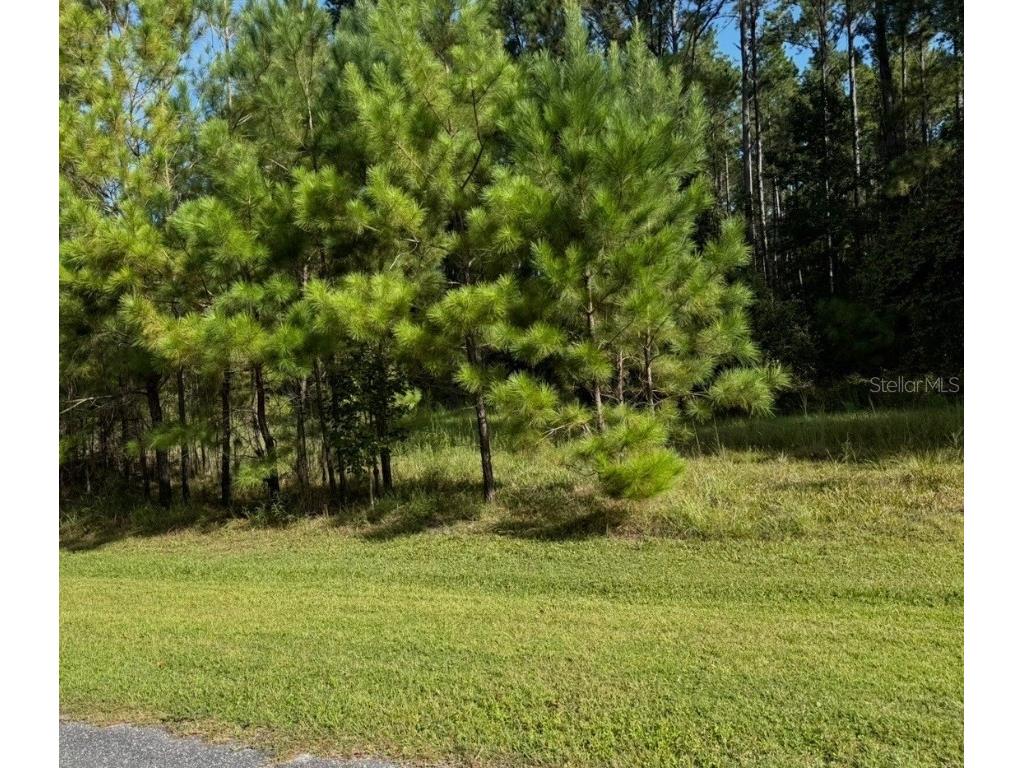 NW 148th Lane Williston FL 32696 OM711194 image3