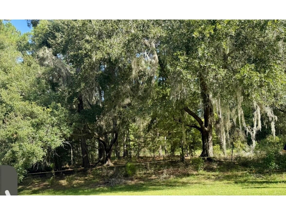 NW 148th Lane Williston FL 32696 OM711194 image4